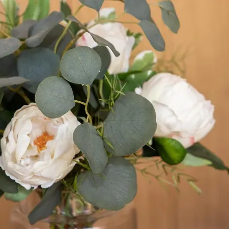 Nautica Gasthuis Costinesti