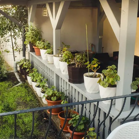 Nautica Guest house 3*