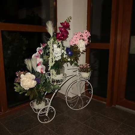 Guest house Nautica 3*