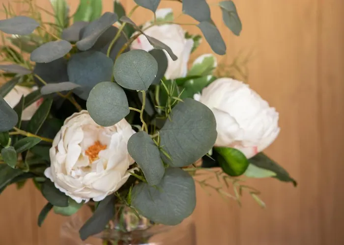 Nautica Guest house Costinesti